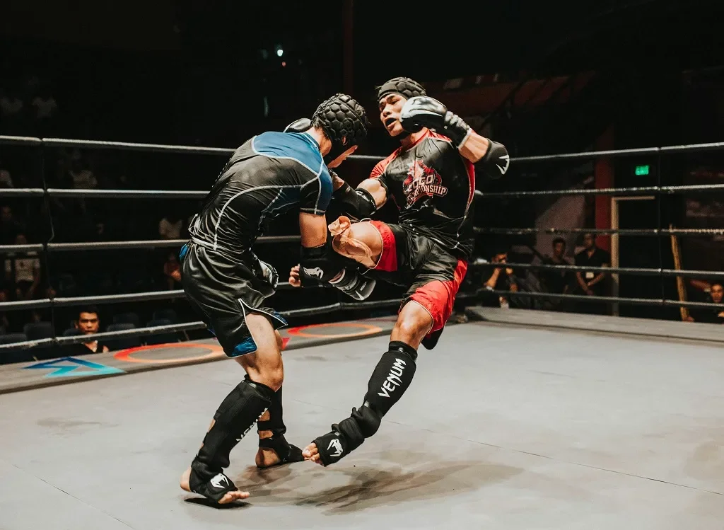 KSW – wszystko, co warto wiedzieć o walkach oraz zawodnikach federacji