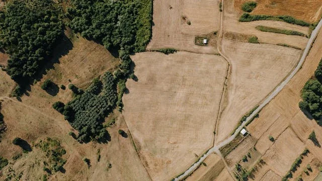 Działka budowlana, rolna czy rekreacyjna – kluczowe różnice dla kupujących