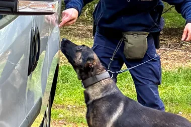 Atestacja policyjnych psów - Wiadomości Policja Śląska