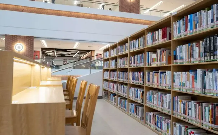 Pod północnym niebem - współcześni Wikingowie przyjadą do biblioteki i opowiedzą swoje historie