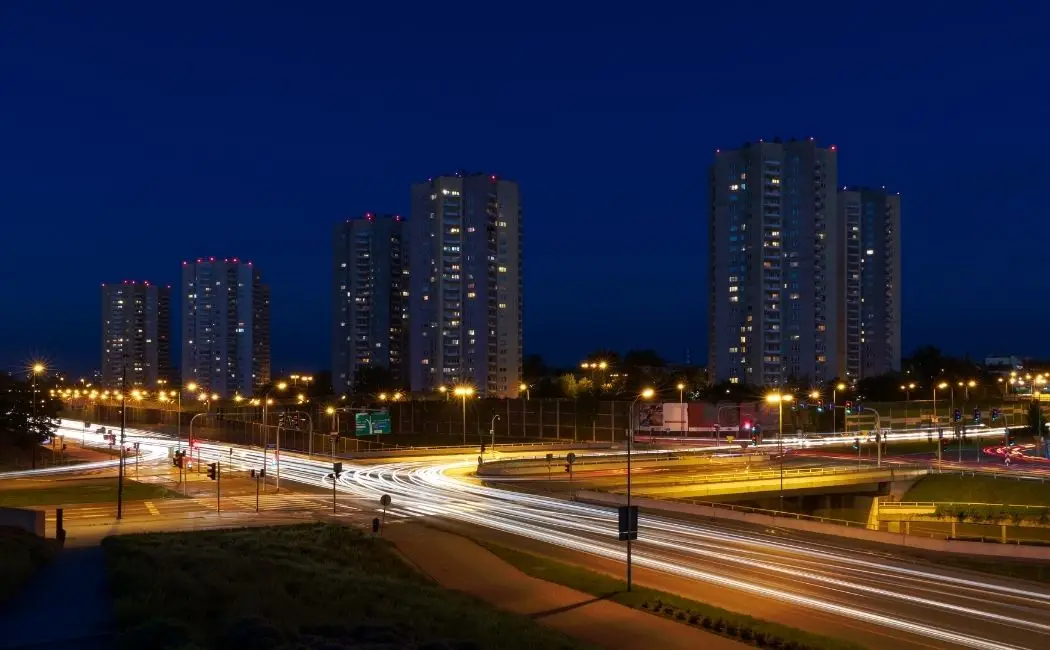 Nowe drzewa w Katowicach zastąpią niebezpieczne rośliny dla mieszkańców