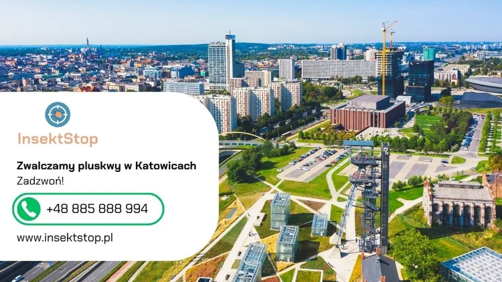 5-katowice-kontakt-do-firmy-insektstop-20250910093050.webp