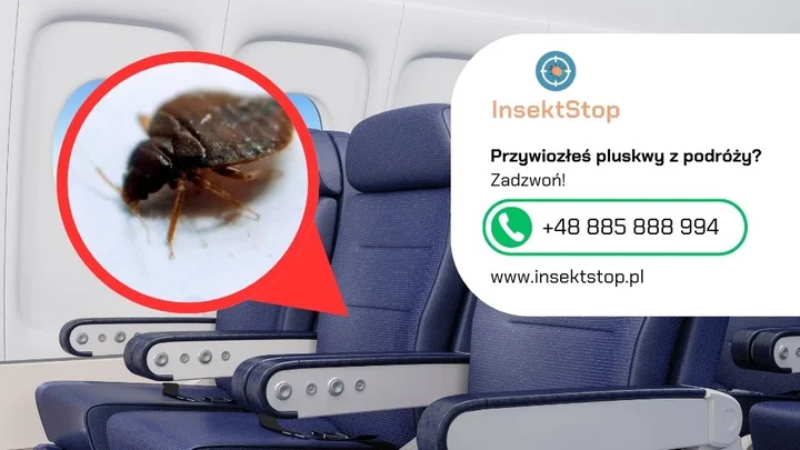5-pluskwy-w-samolocie-kontakt-do-firmy-insektstop-20250910093052.webp