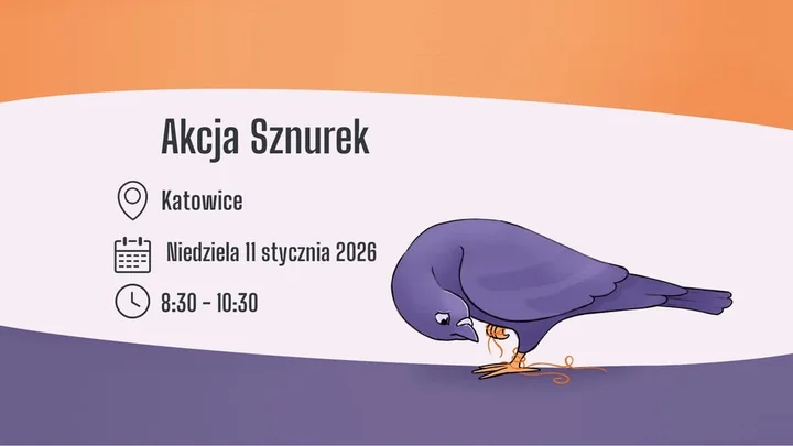 Grafika promocyjna wydarzenia Akcja Sznurek Katowice — wspólna poranna akcja ratunkowa dla gołębi