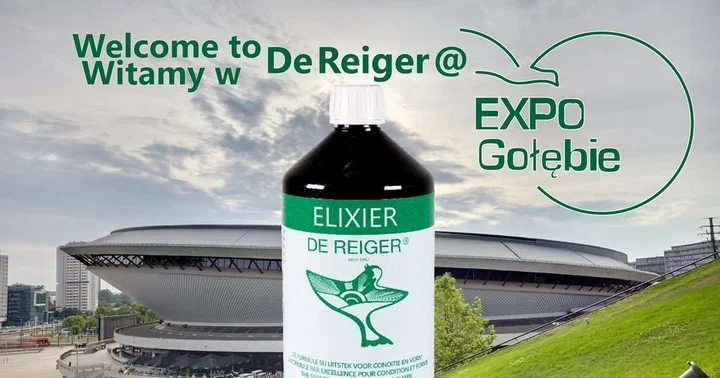 Grafika promocyjna wydarzenia De Reiger — EXPOGołębie Katowice 2026: Międzynarodowe Targi Gołębi Pocztowych