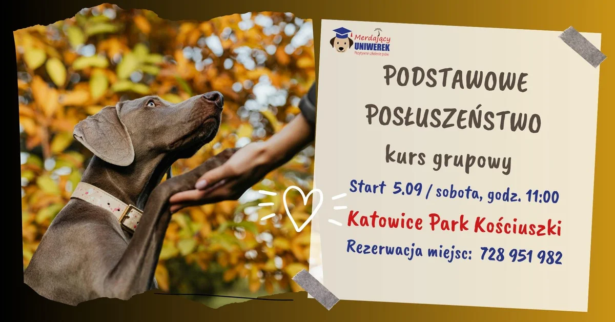 Grafika promocyjna wydarzenia Kurs Podstawowe Posłuszeństwo Katowice – szkolenie psów