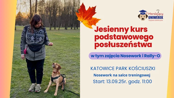 Obrazek przedstawia grafikę promocyjną wydarzenia Kurs podstawowego posłuszeństwa dla psów w Katowicach