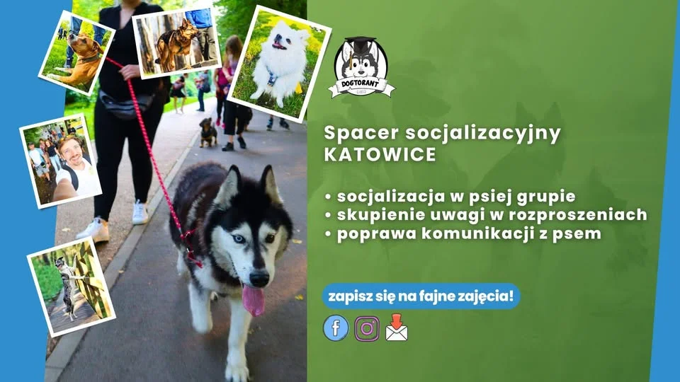 Grafika promocyjna wydarzenia Spacer Socjalizacyjny z psami – Trzy Stawy