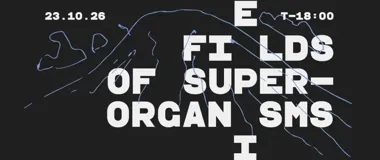 Góra, nagrania i odpowiedź natury. W Katowicach zabrzmi Fields of Superorganisms