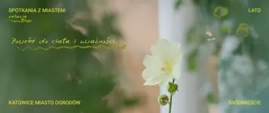 W Katowicach można zwolnić bez wyjeżdżania z miasta - ruszają letnie warsztaty