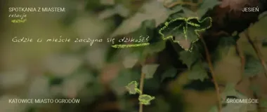 Katowice zwalniają tempo. Jesienne kąpiele leśne w dwóch odsłonach