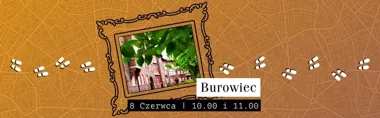 Nikiszowiec od środka - spacer, który zamienia historię w przygodę