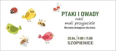 Ptaki i owady w MDK Szopienice - dzieci zrobią karmniki i poznają sąsiadów