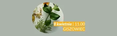 Wiosenne zioła w Giszowcu - jak skompletować domową apteczkę