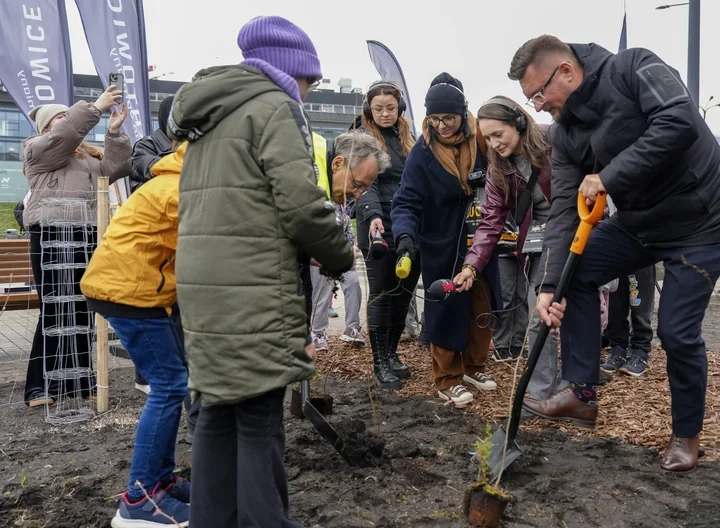 Mikrolas przy Rynku ma być początkiem zielonej zmiany w Katowicach