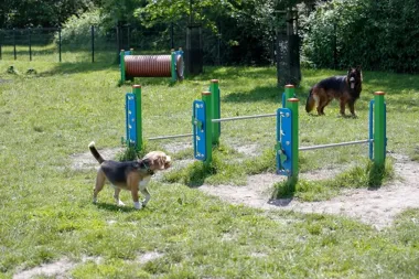 Na Zaopuście powstaje psi wybieg wśród drzew i bez wycinki