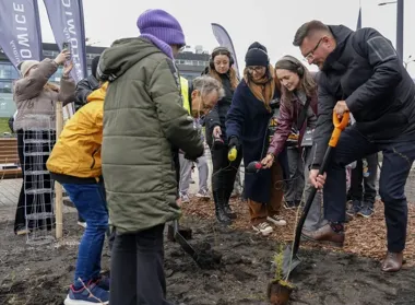 Mikrolas przy Rynku ma być początkiem zielonej zmiany w Katowicach