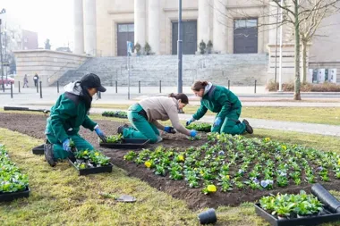 Katowice po zimie wchodzą w tryb porządków. Miasto sprawdza każdy skwer i każdą dziurę
