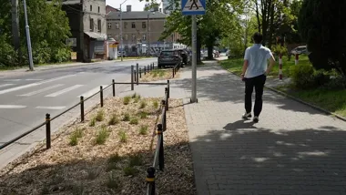 Nowe trawy zamiast betonu w Katowicach. Zazieleniono 17 miejsc