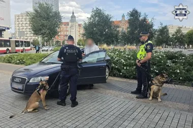 Psy służbowe na patrolach w centrum Katowic. Policja łączy siły ze Strażą Miejską