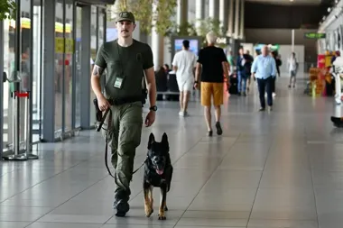 Funkcjonariusz służby z psem patrolowym przemierza halę lotniska wśród podróżnych.