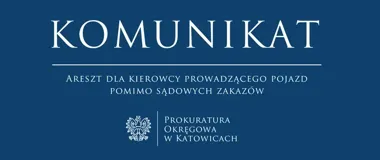 Tymczasowy areszt dla 36-latka z czterema zakazami prowadzenia