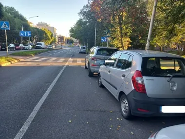 425 wykroczeń w tydzień. Katowicka straż miejska interweniowała masowo
