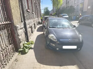Katowice pod lupą strażników - 302 wykroczenia i setki interwencji